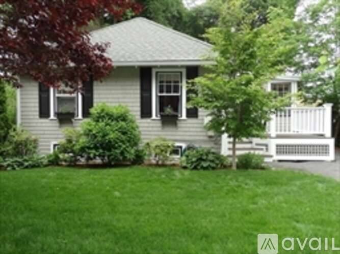 cover background