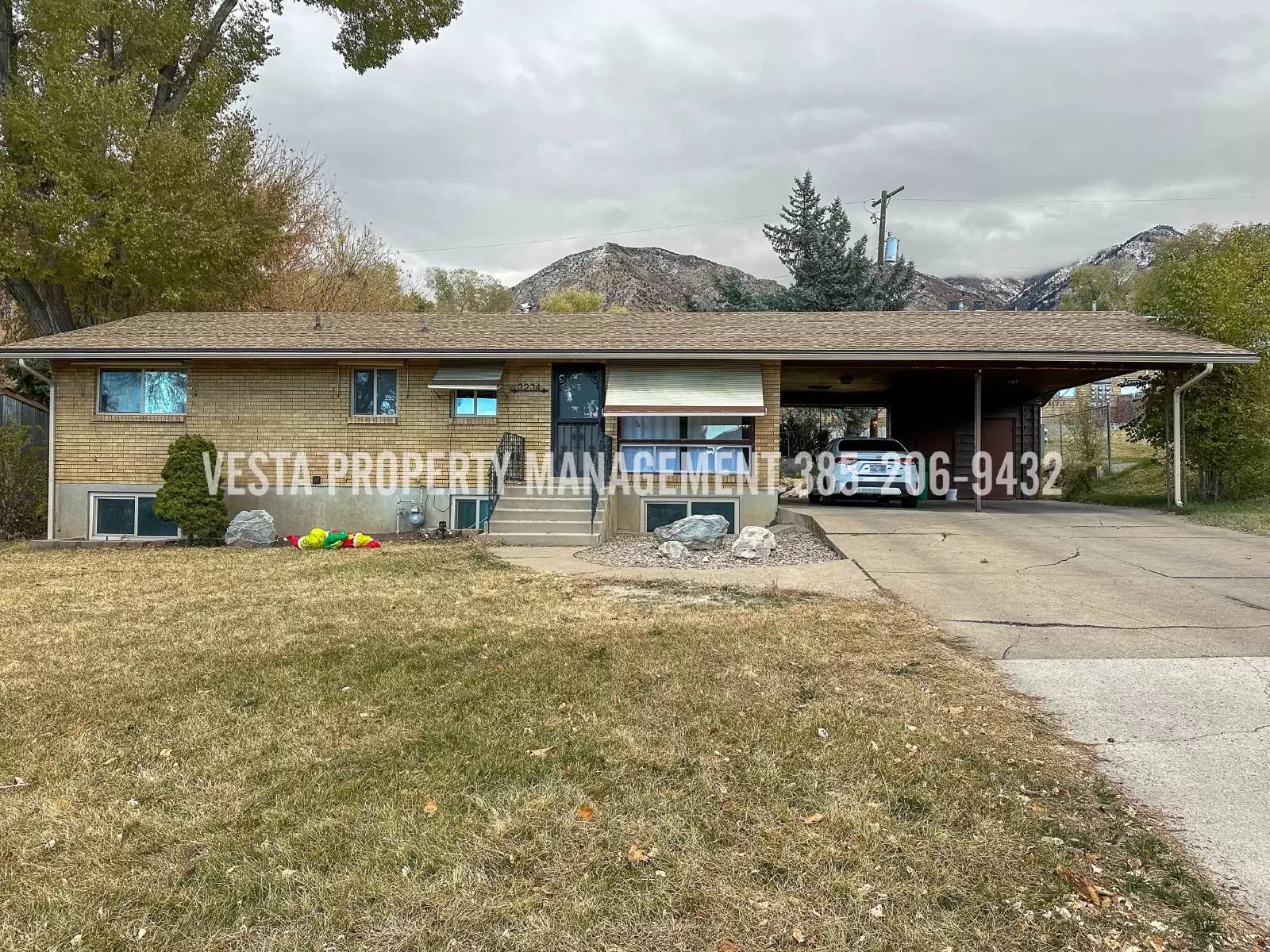 cover background