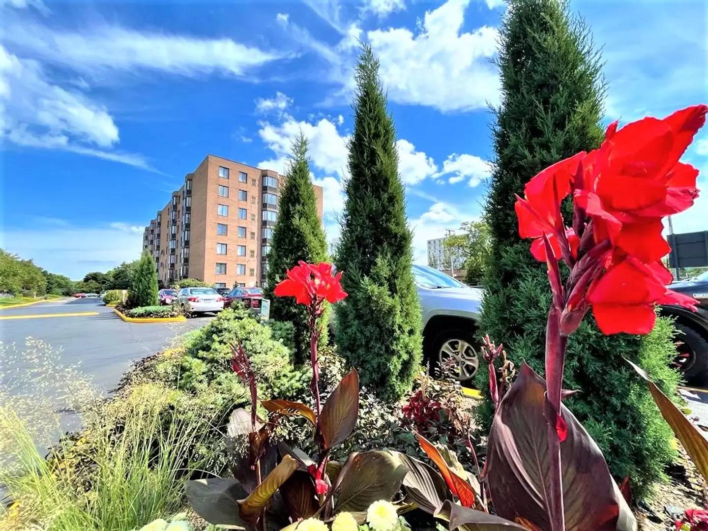 cover background
