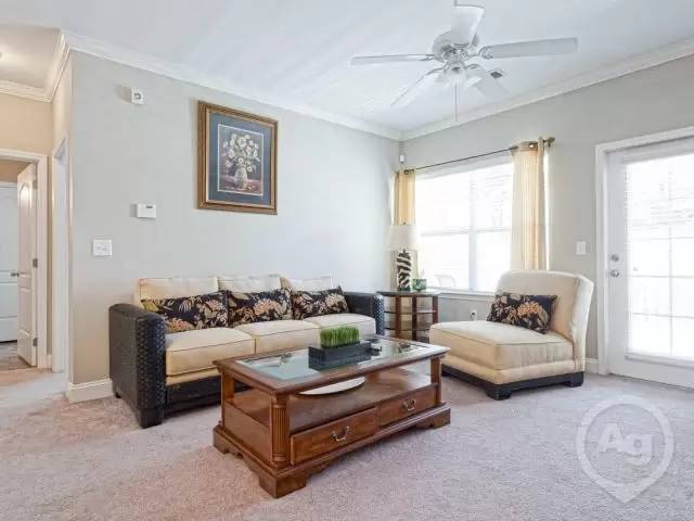 cover background