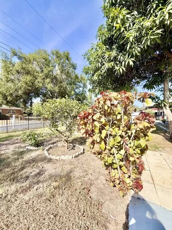 Property Image 67