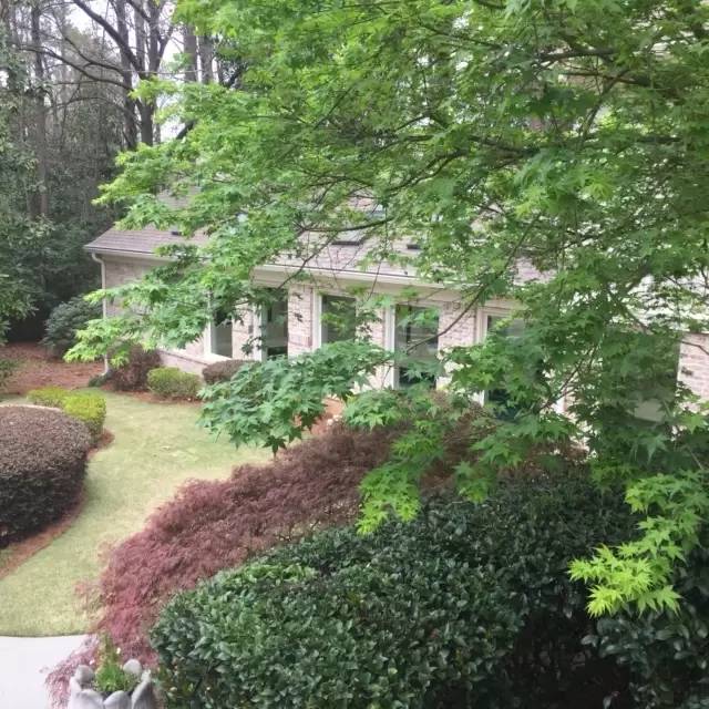 Property Image 106