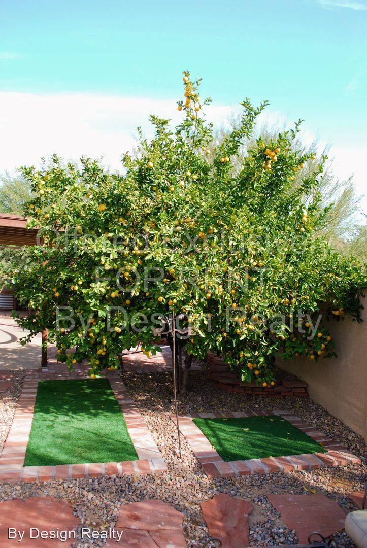 Property Image 54