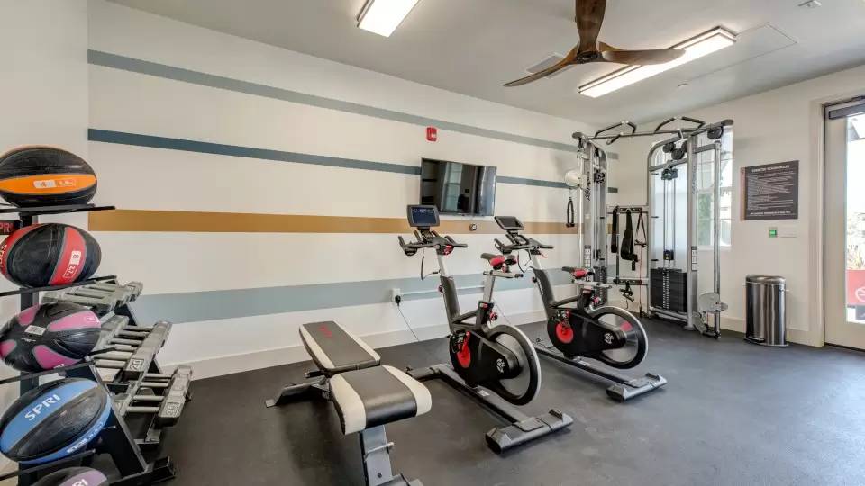 Property Image 14