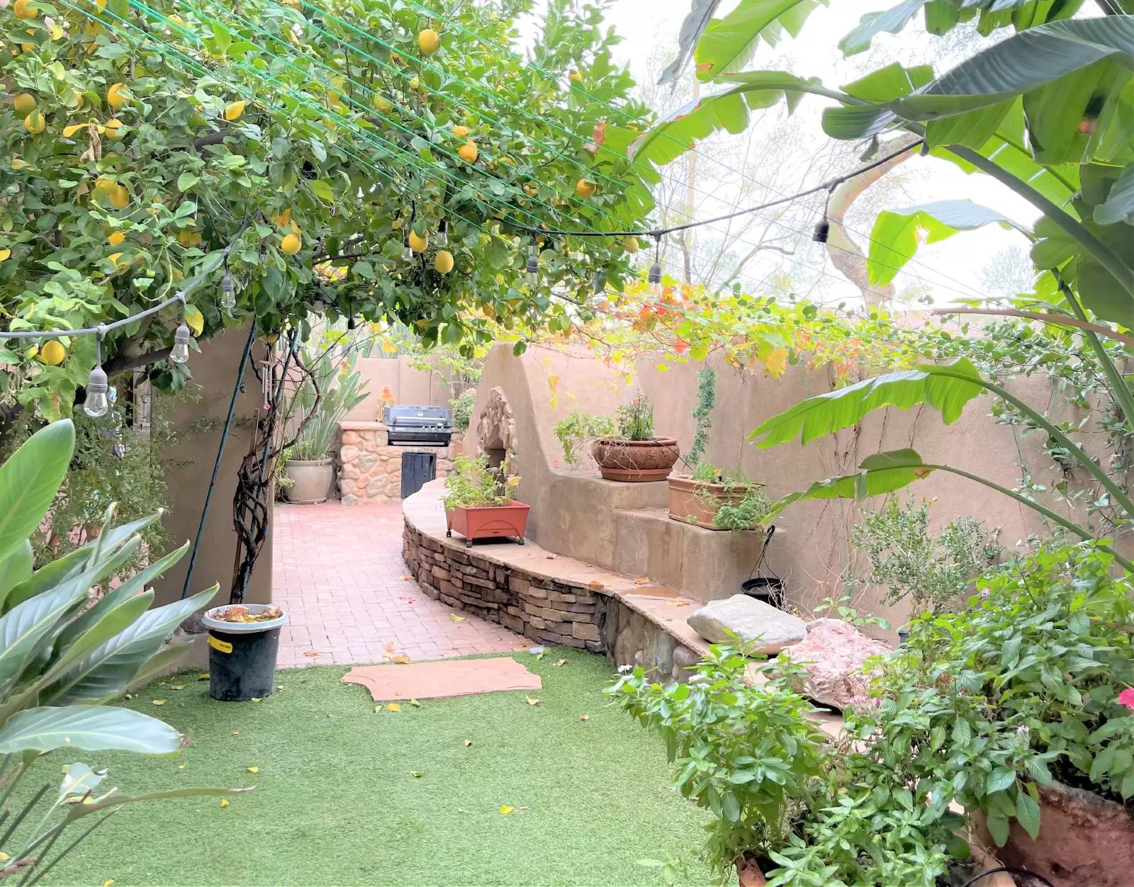 Property Image 25