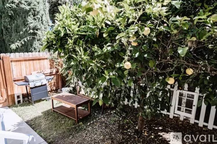Property Image 58