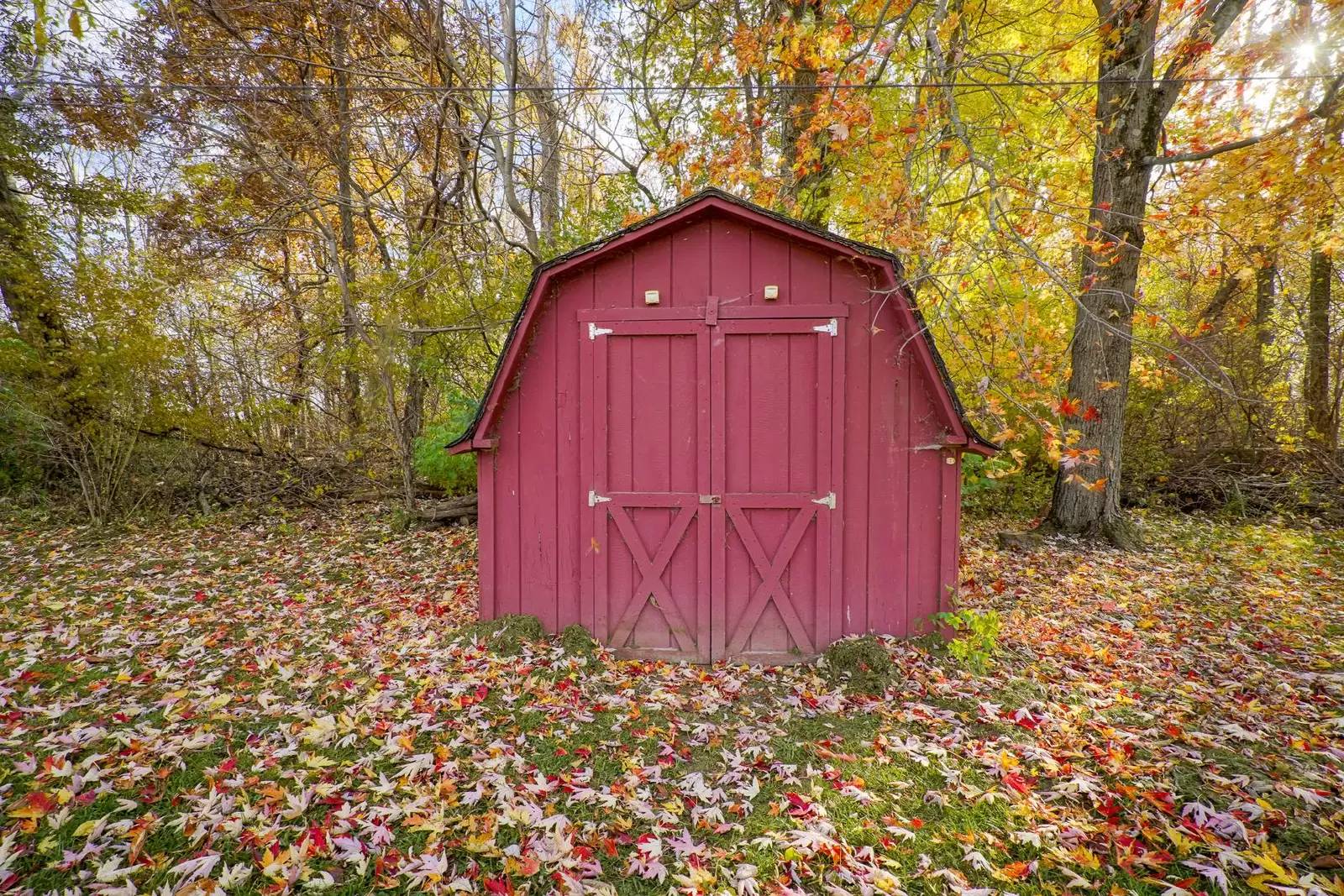 Property Image 37