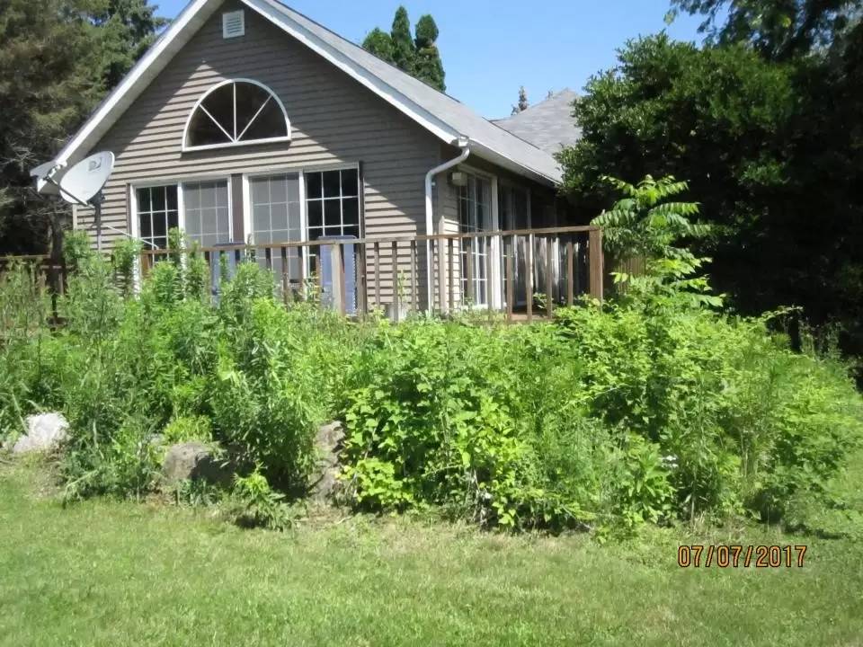 cover background
