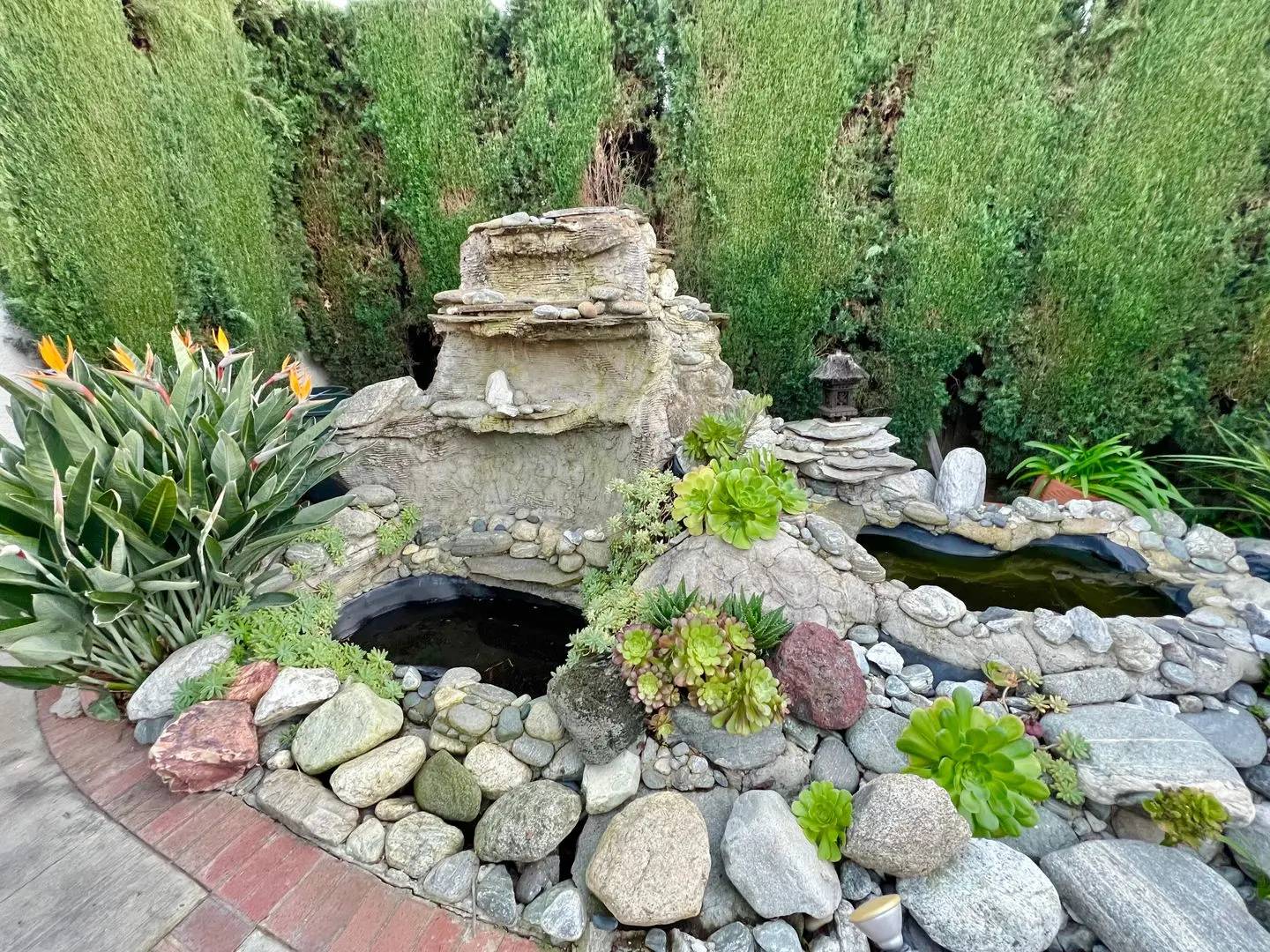 Property Image 36