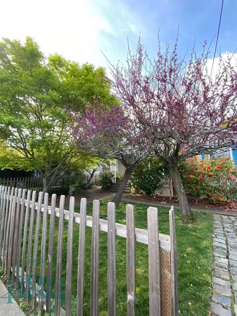 Property Image 55