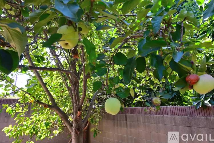 Property Image 57