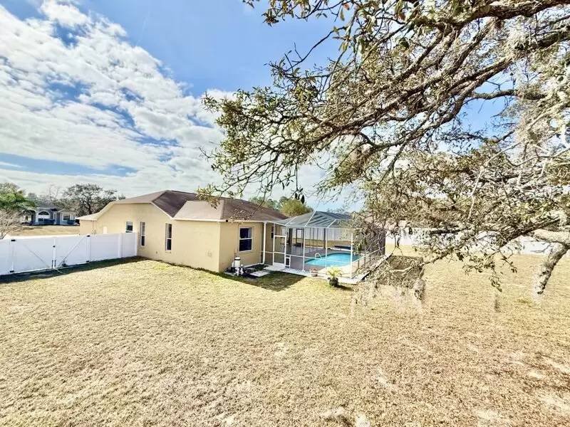 Property Image 78