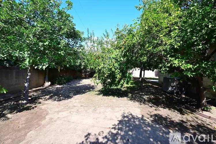 Property Image 85