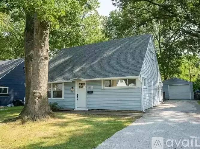 cover background