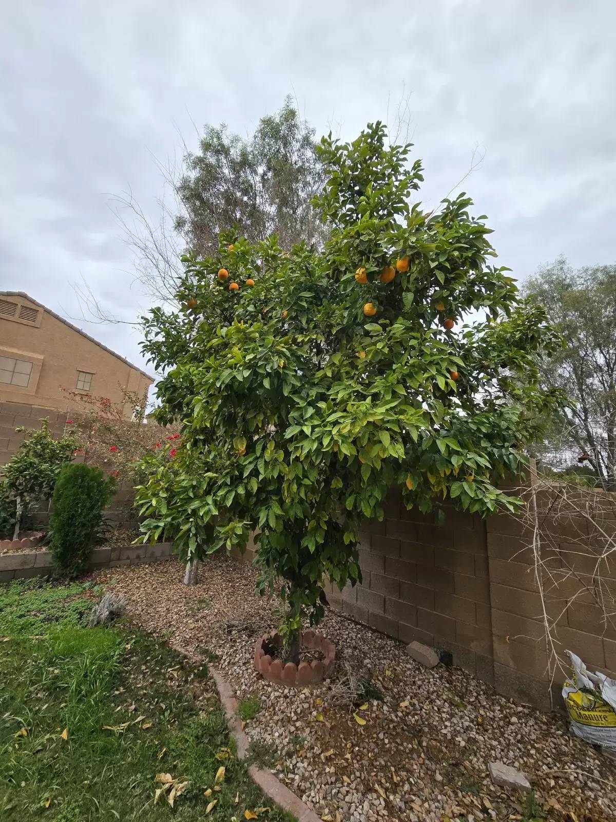 Property Image 38