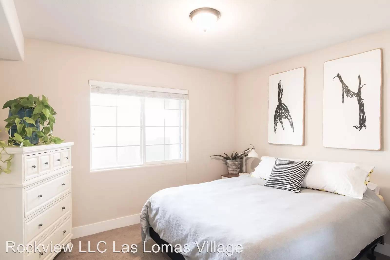 cover background