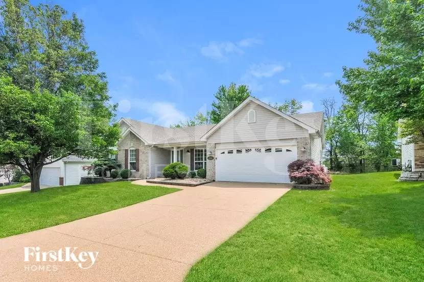 cover background