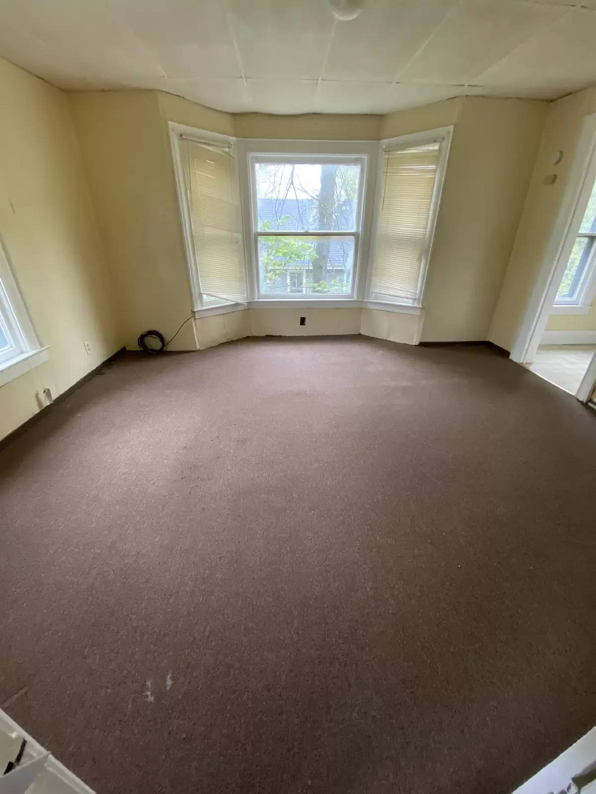 cover background