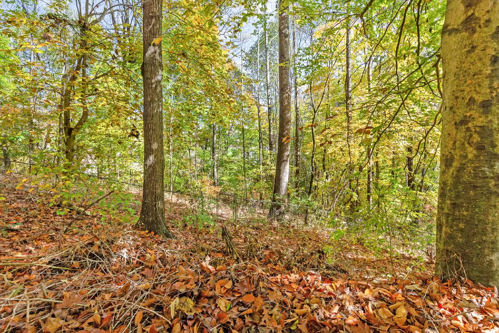 Property Image 31