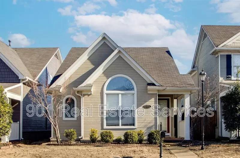 cover background