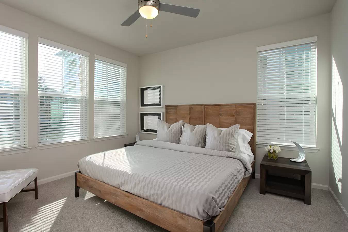 Property Image 66