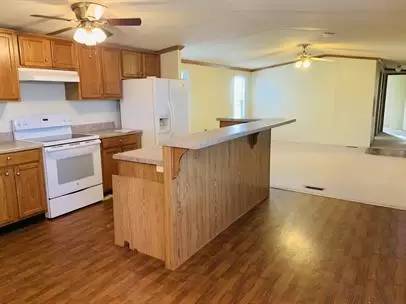 cover background