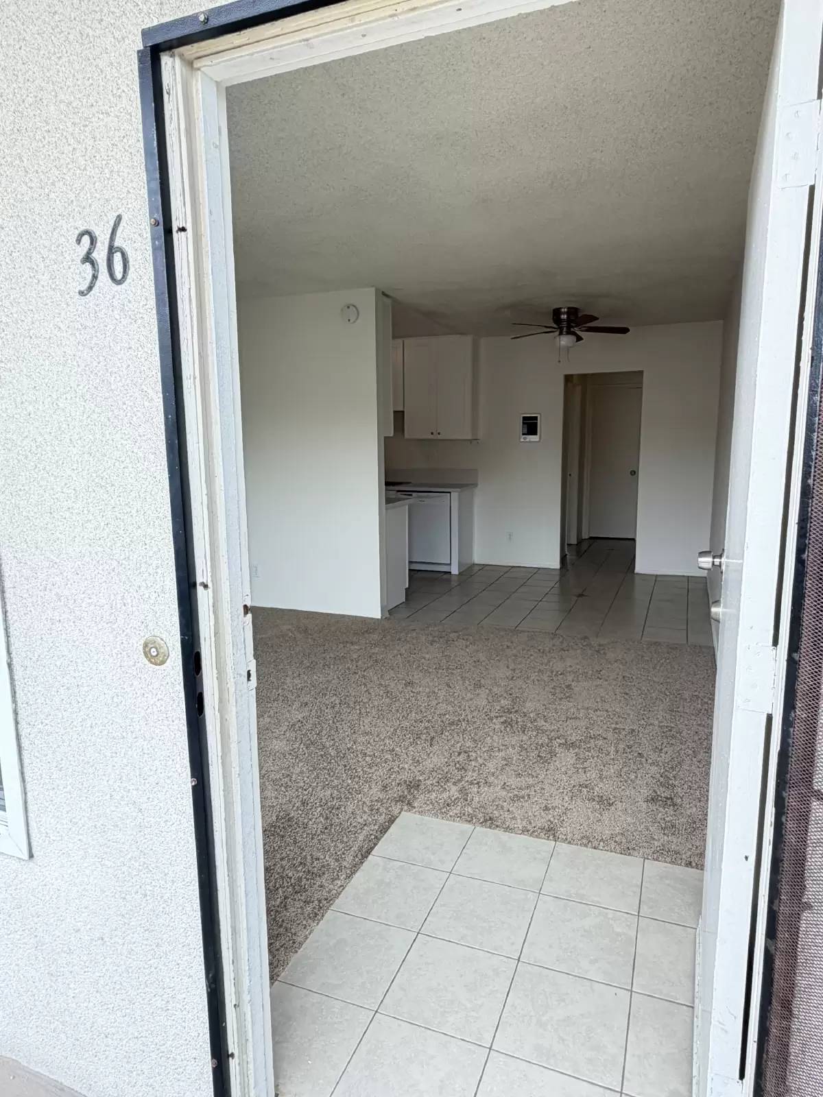 cover background