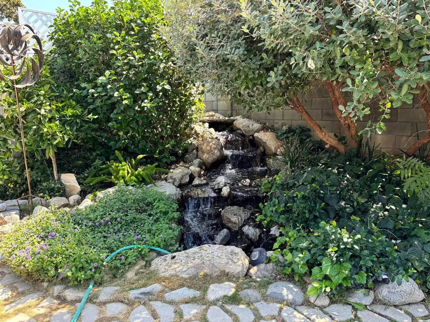 Property Image 22