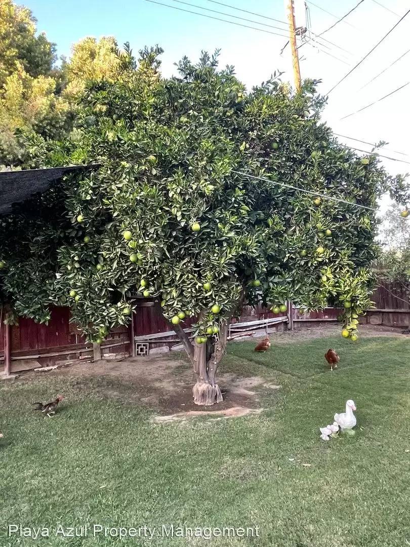 Property Image 60