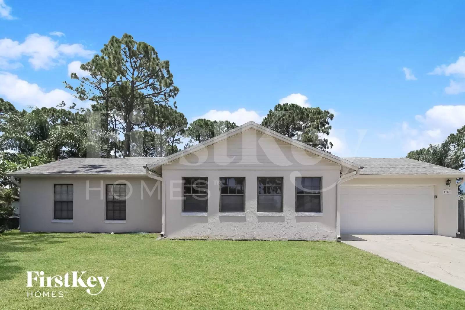 cover background