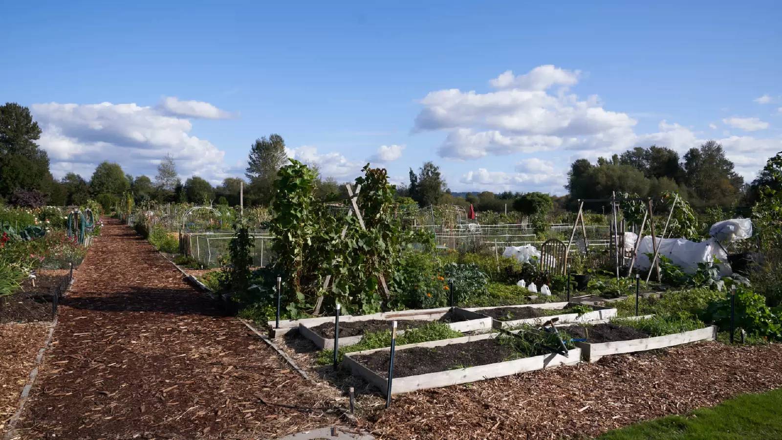 Property Image 70