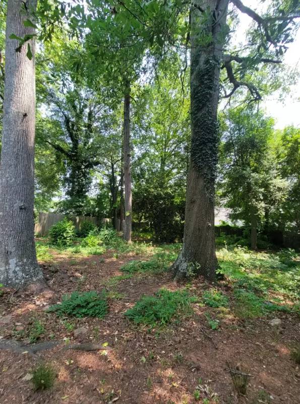 Property Image 55