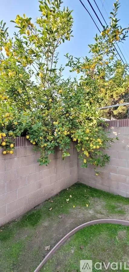 Property Image 49