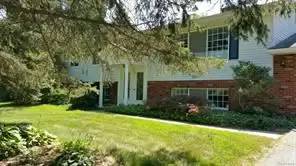 cover background