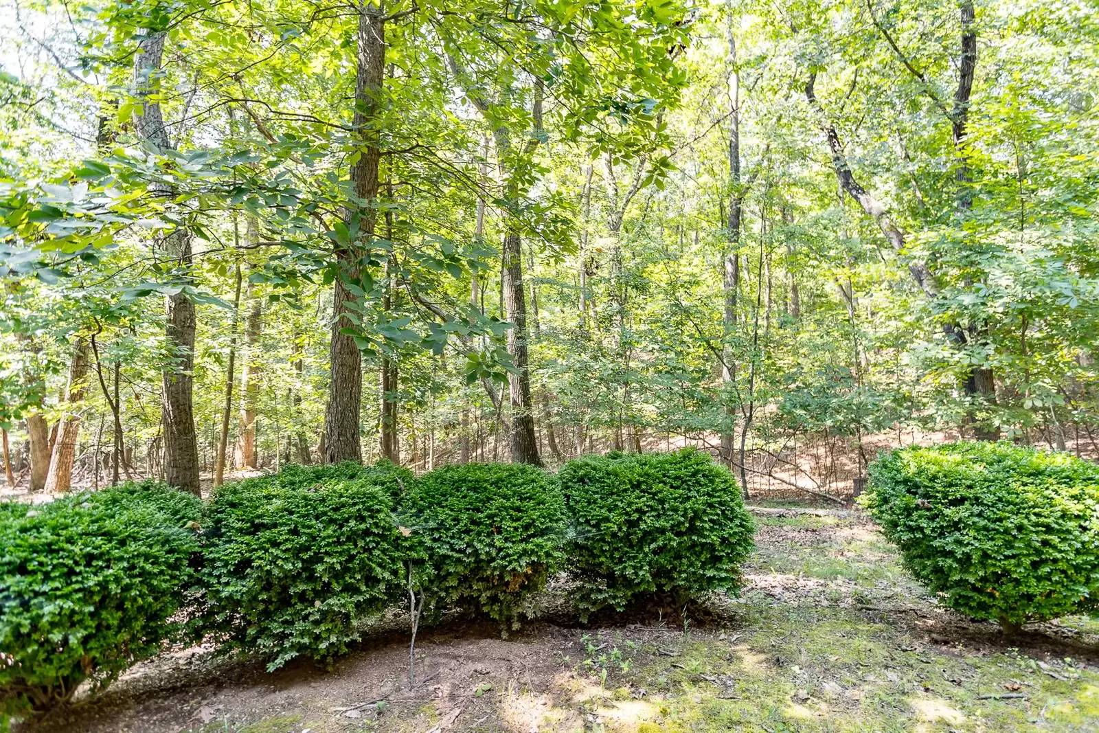 Property Image 65