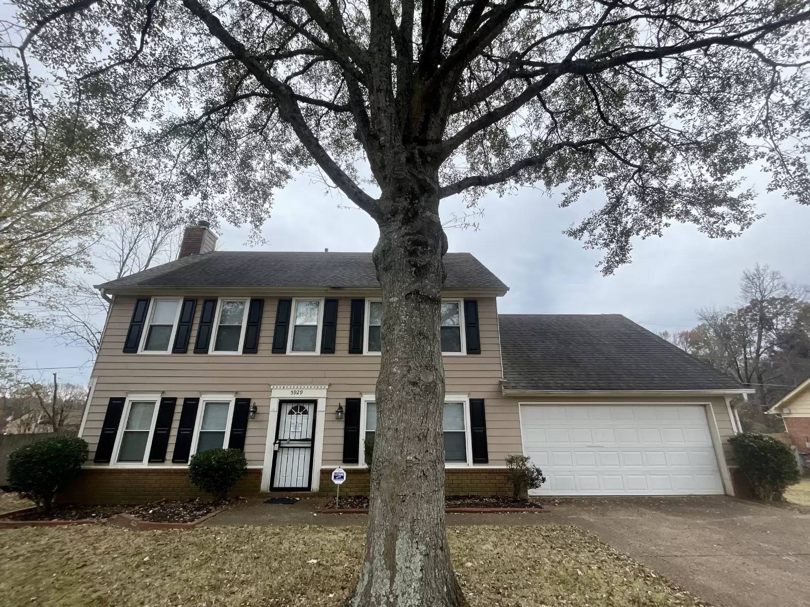 cover background