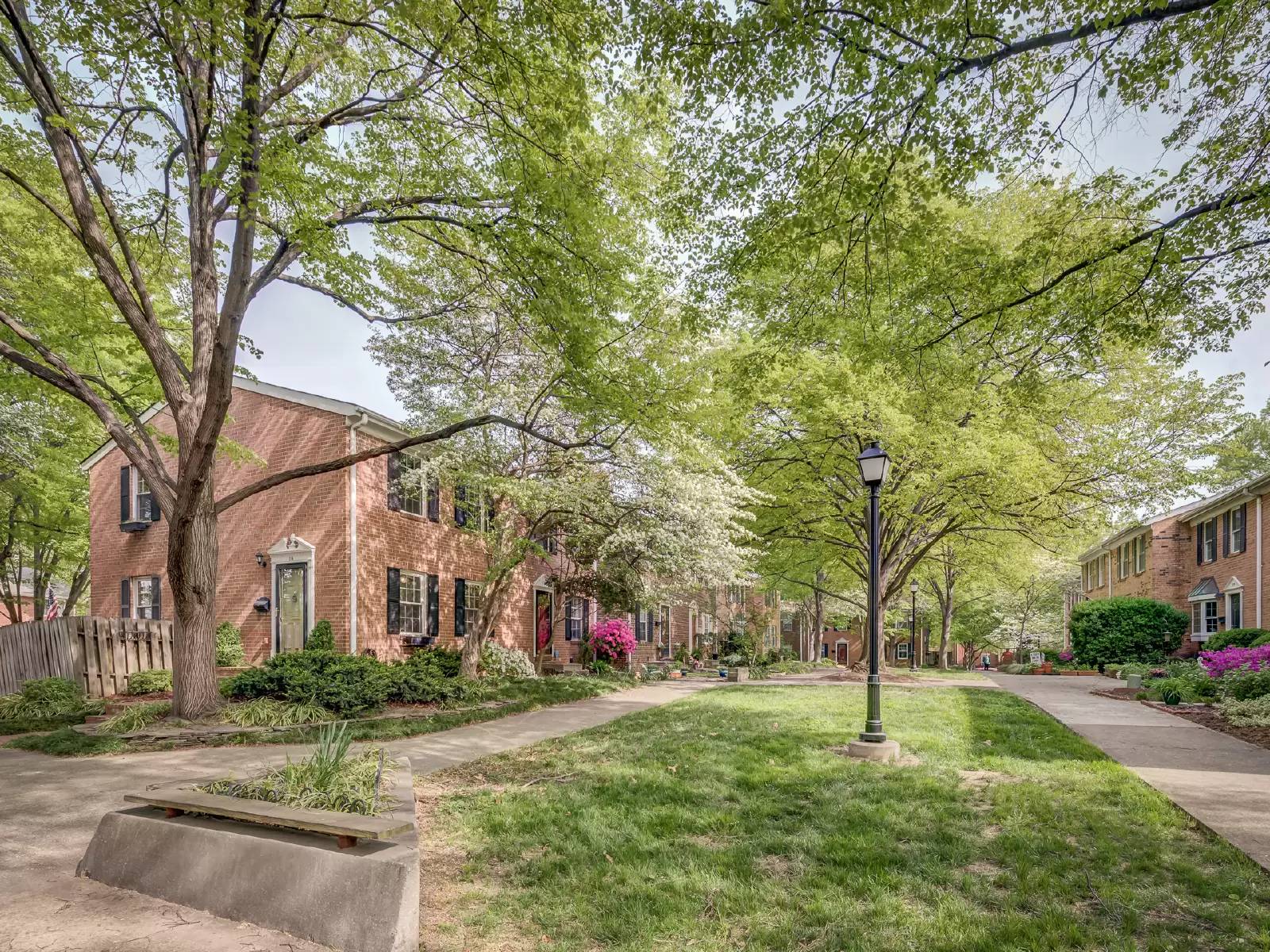 cover background