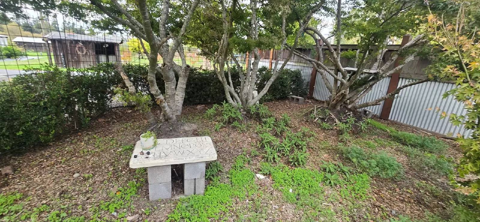 Property Image 33