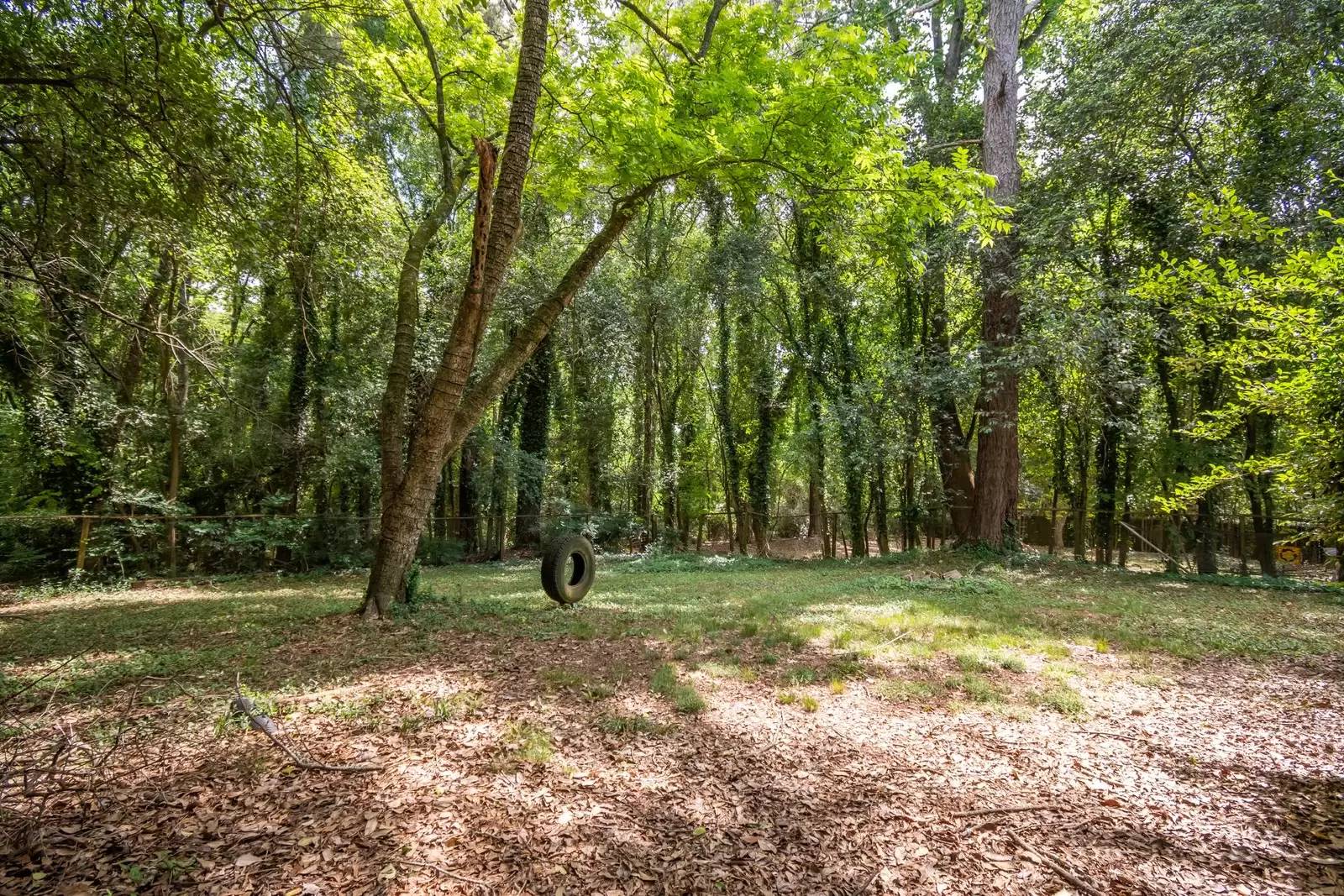 Property Image 38