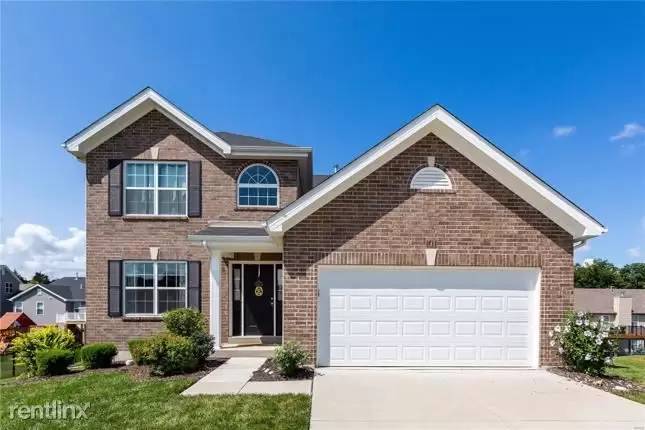 cover background
