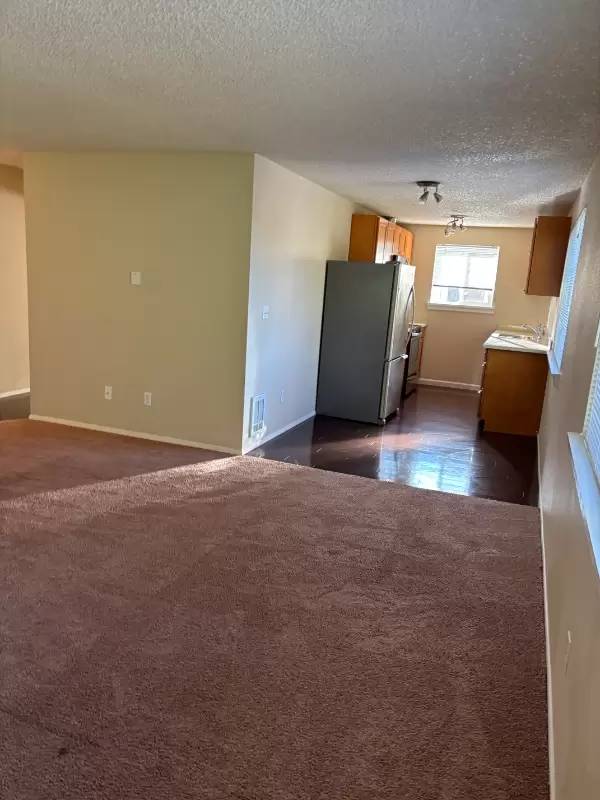cover background