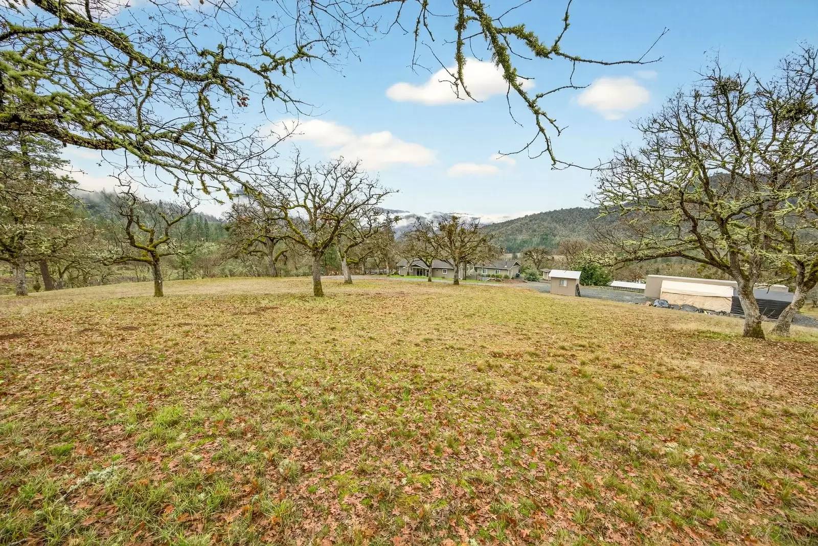 Property Image 72