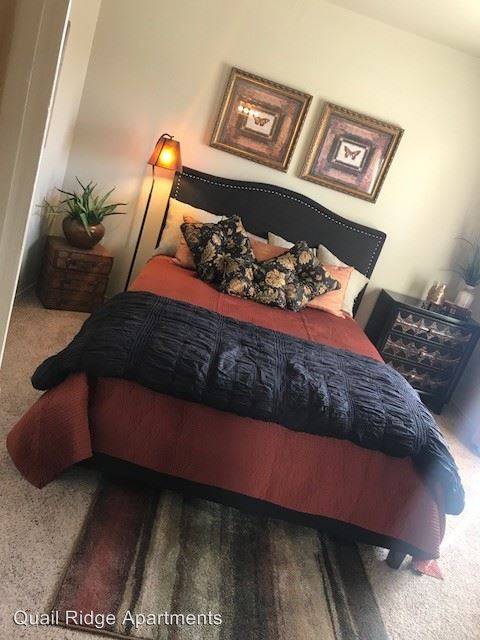 cover background