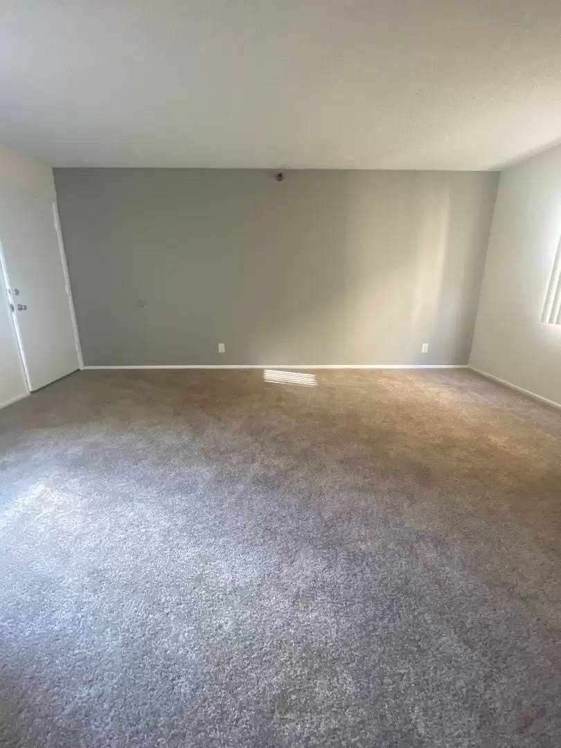 cover background
