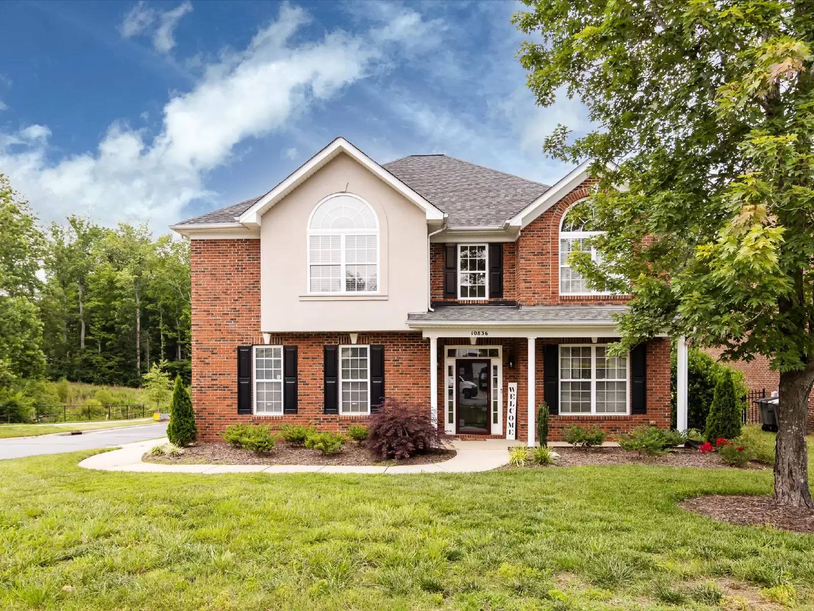 cover background