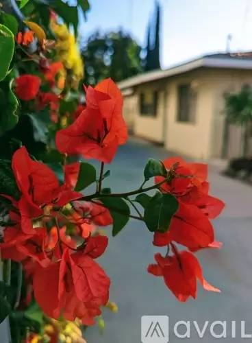 cover background