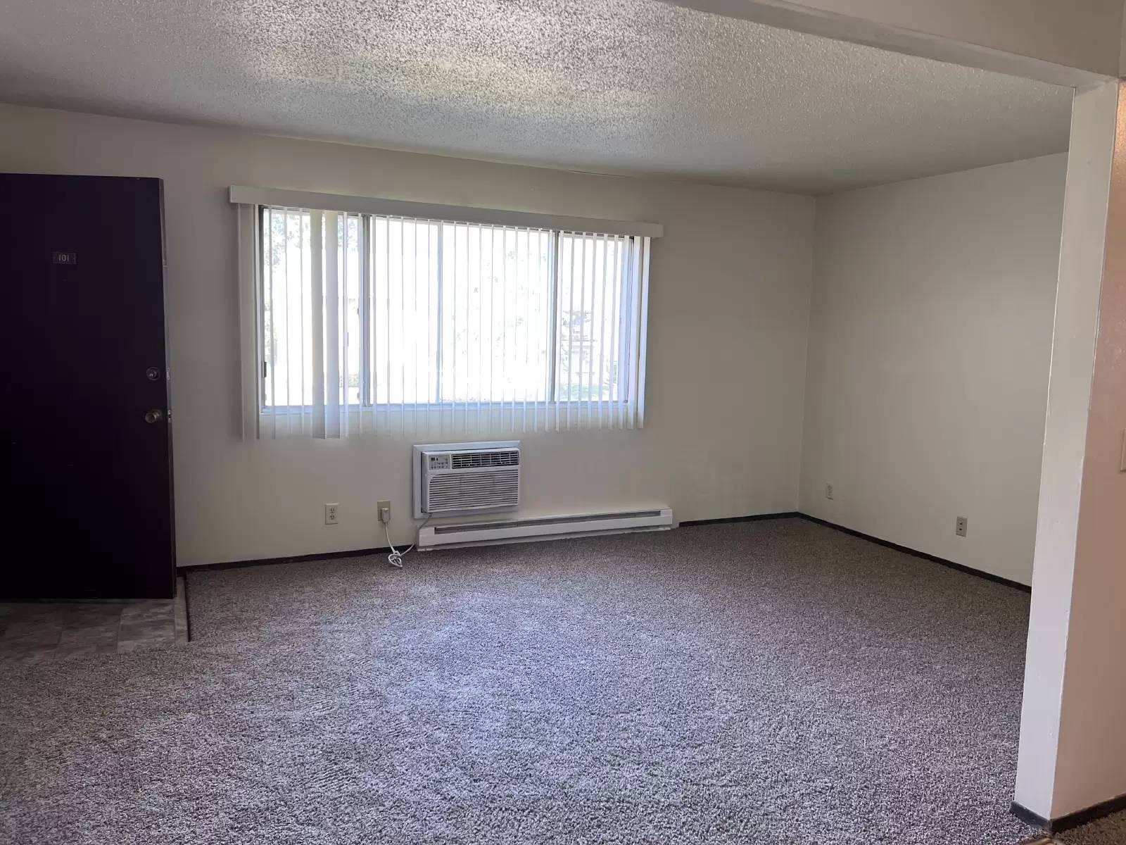 cover background