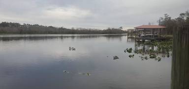 Main picture of 2621 Bishop Estates Rd