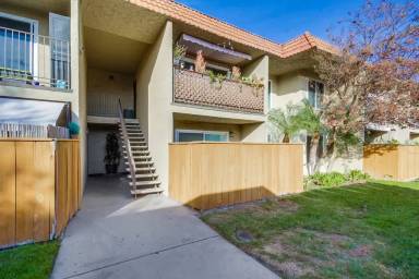 Main picture of SunTerra