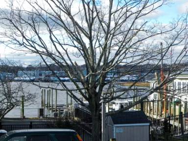 Main picture of 25 Cove Ave